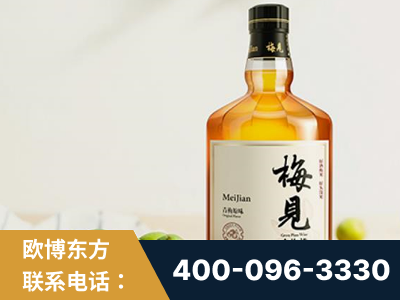 平凉-梅见青梅酒